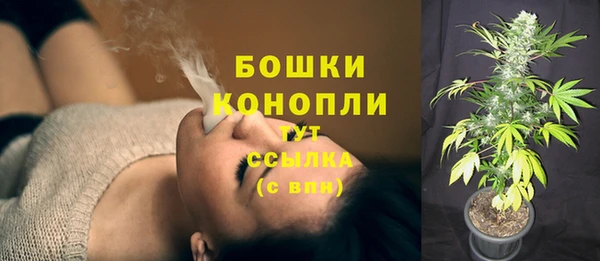 Альфа ПВП Инсар