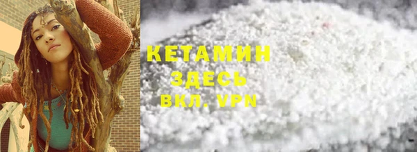 прущие грибы Каменск-Шахтинский
