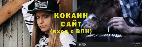 винт Инта