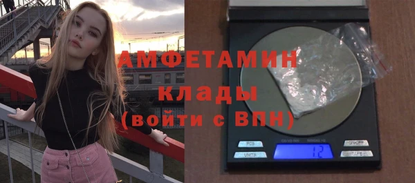 винт Инта