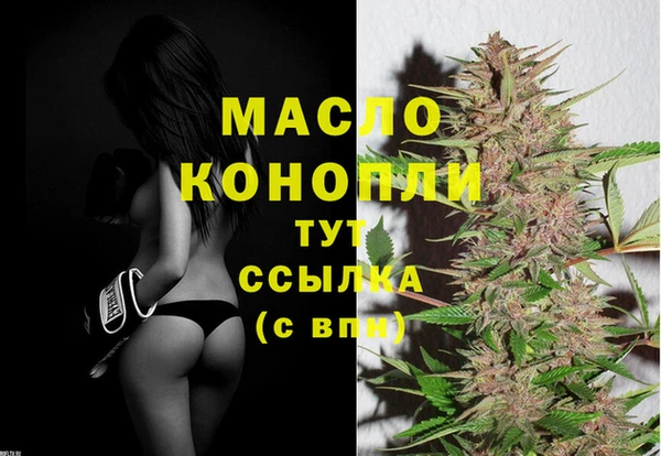 Альфа ПВП Инсар