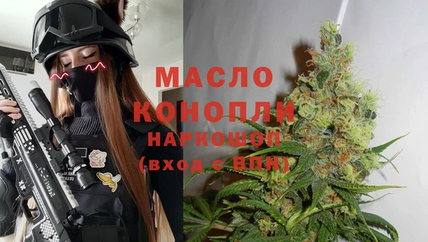 винт Инта