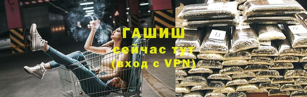 Альфа ПВП Инсар