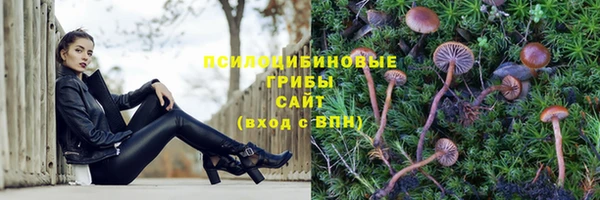 винт Инта