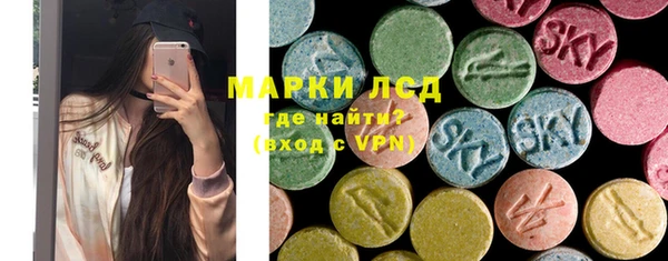 прущие грибы Каменск-Шахтинский