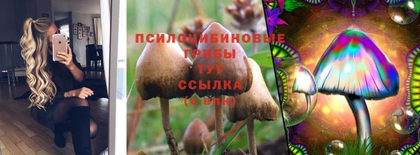 винт Инта
