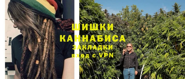 винт Инта